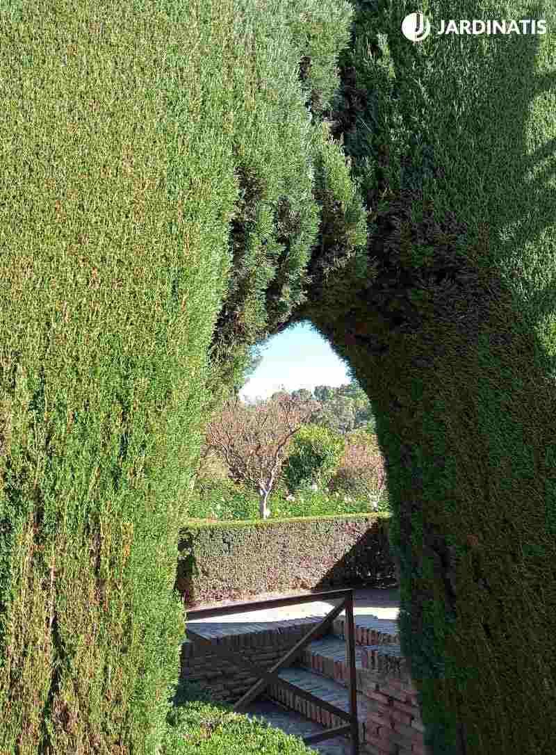 Arte topiario en la Alhambra de Granada