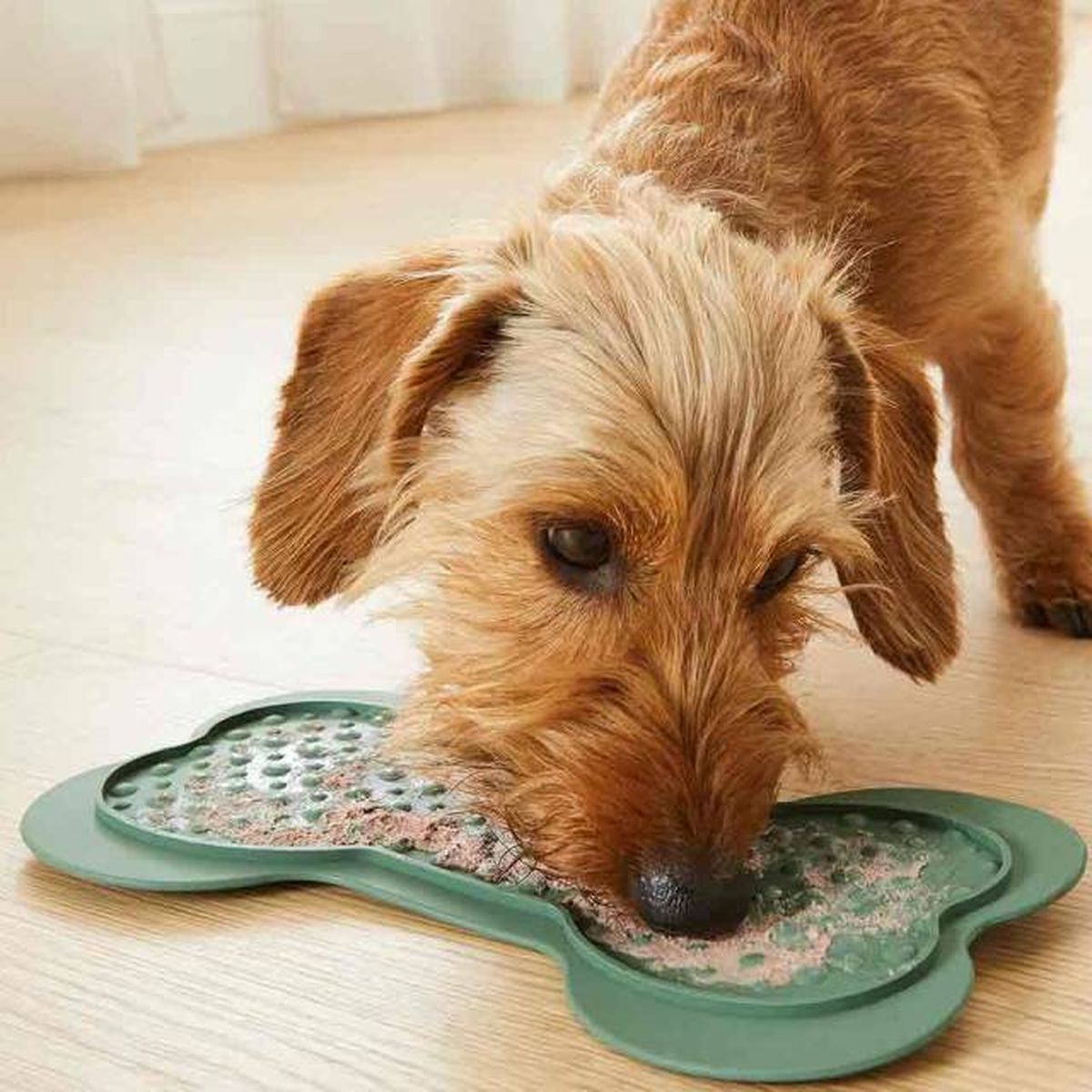 comedero lento perros antivoracidad tapete Lidl