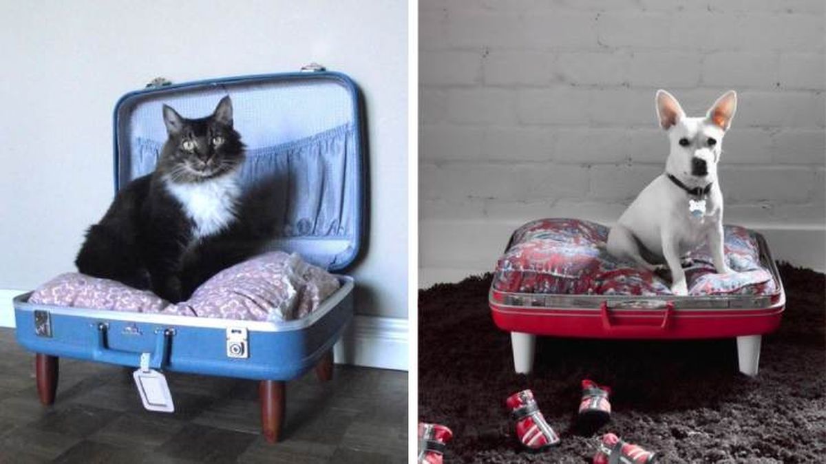reutilizar maleta cama mascota