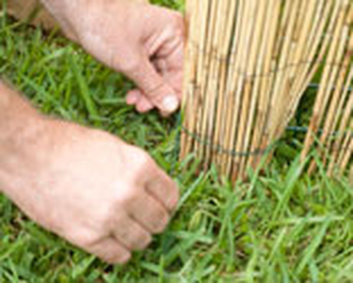 brico 0654 portico jardin paso 16