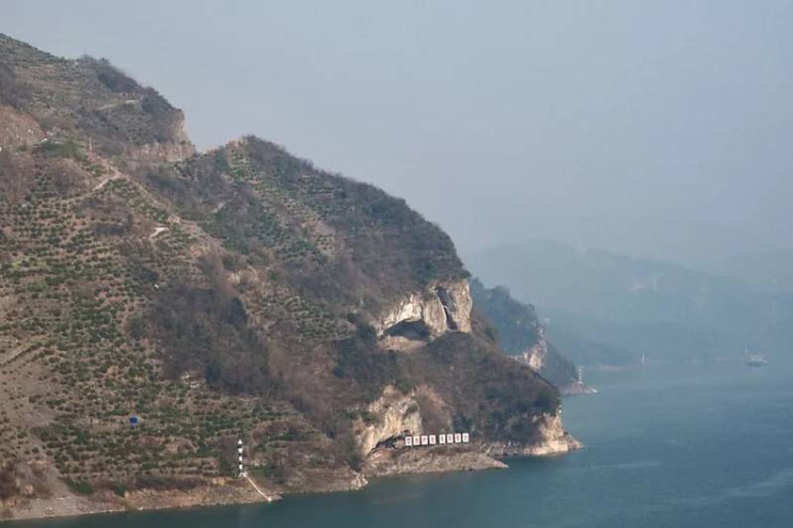 Muchos han llevado a sus perros para compararlos con la silueta de la montaña.