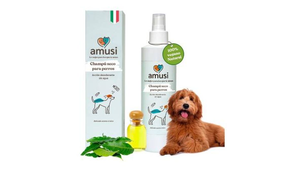 amusi champu seco perros amazon