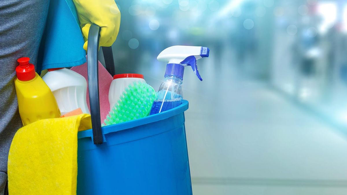 cosas donar refugio animales 5