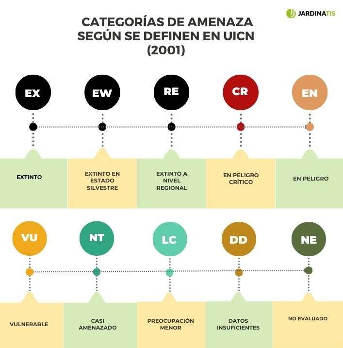categorias amenaza plantas segun uicn