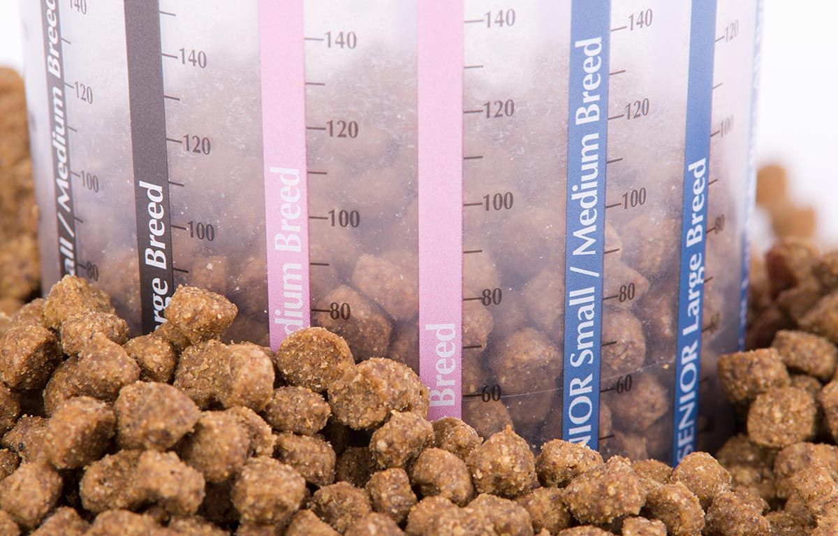 mascotas perros comida cantidad dosis