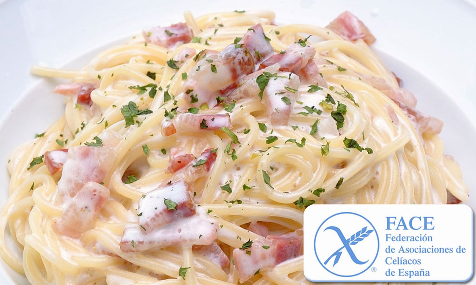 spaghetti carbonara xl