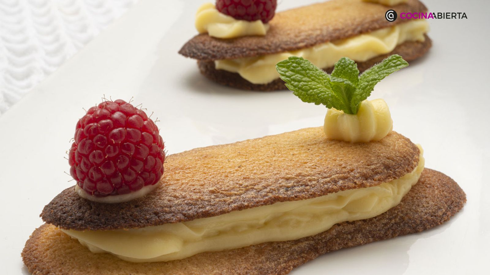 karl6903 lenguas gato xl