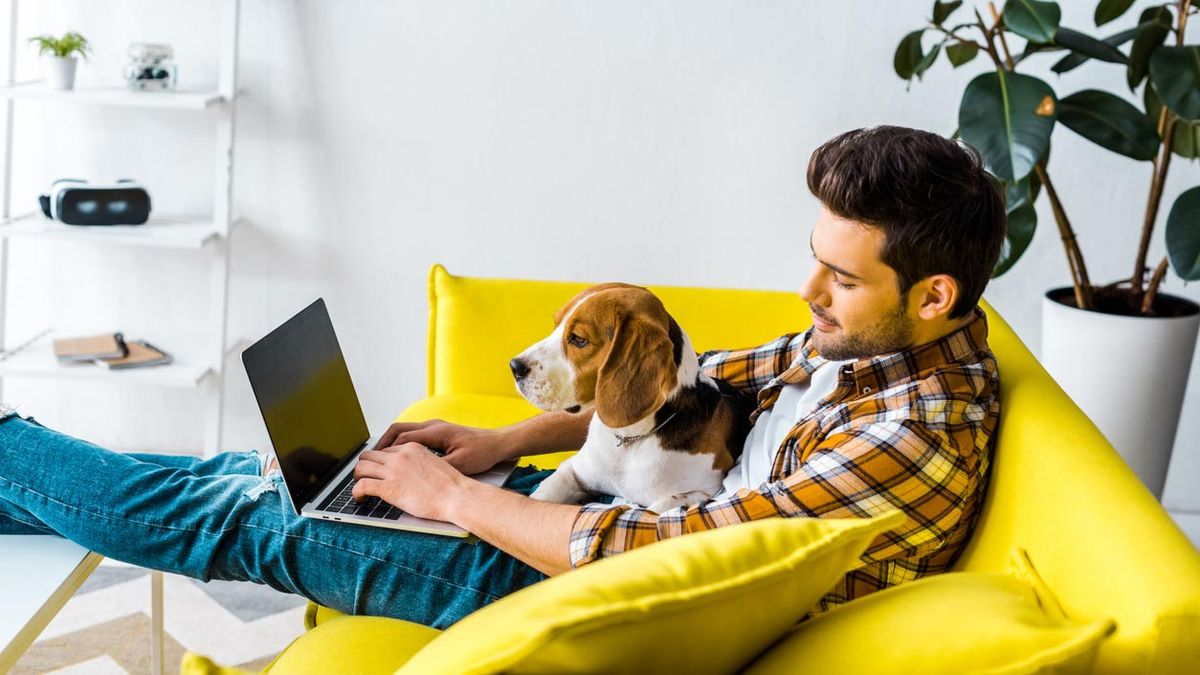 ordenar escritorio teletrabajo sofa