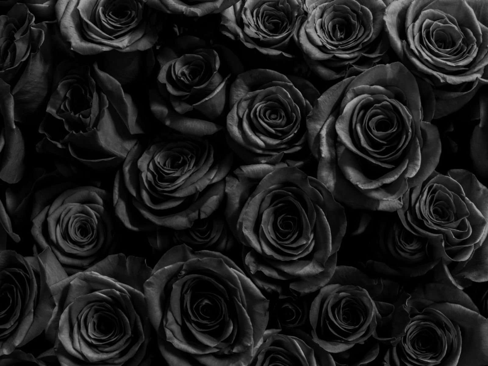 El color negro a menudo se asocia con la muerte, el luto y el dolor.
