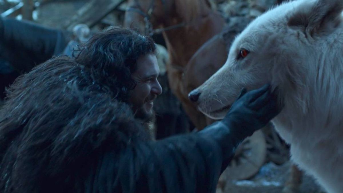 El lobo terrible podía llegar a ser hasta un 25% más pesado que el actual.