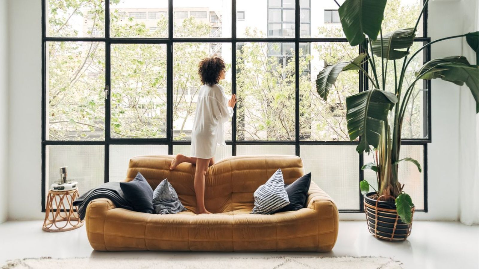 plantas de interior perfectas para casas grandes