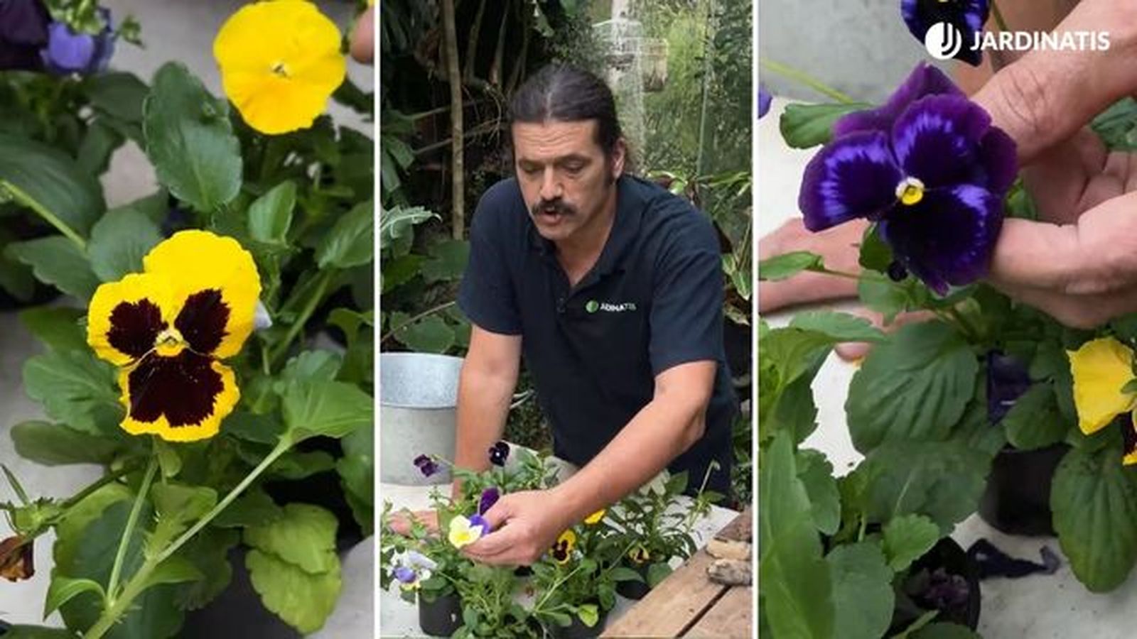 tipos de pensamientos jardinatis 22 25