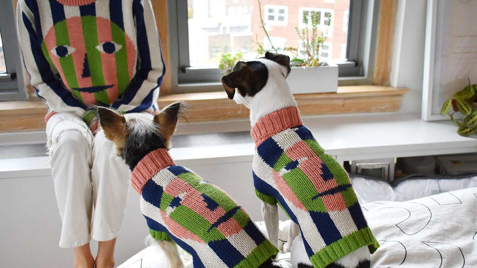 Día Internacional de Vestir a tu Mascota