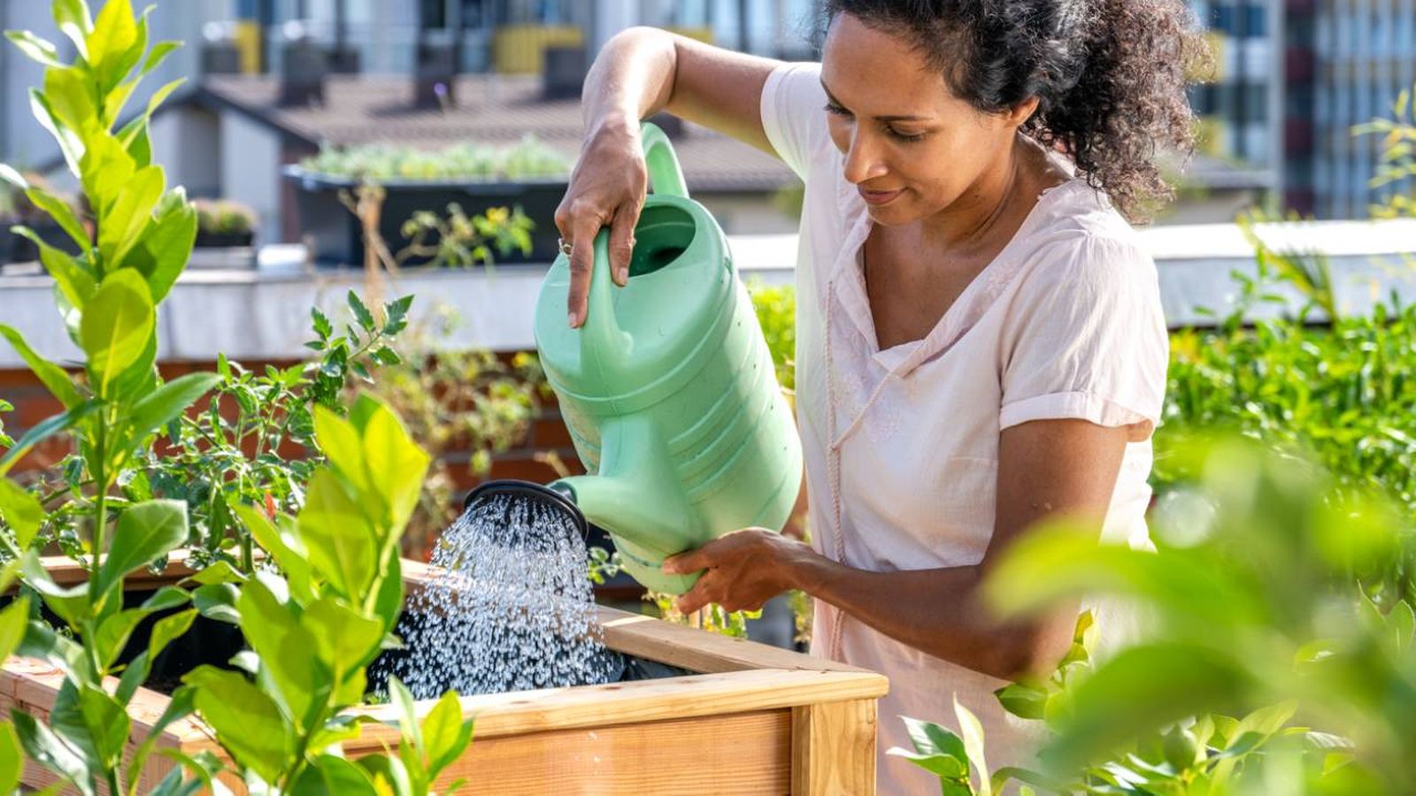 que plantar en abril en el huerto
