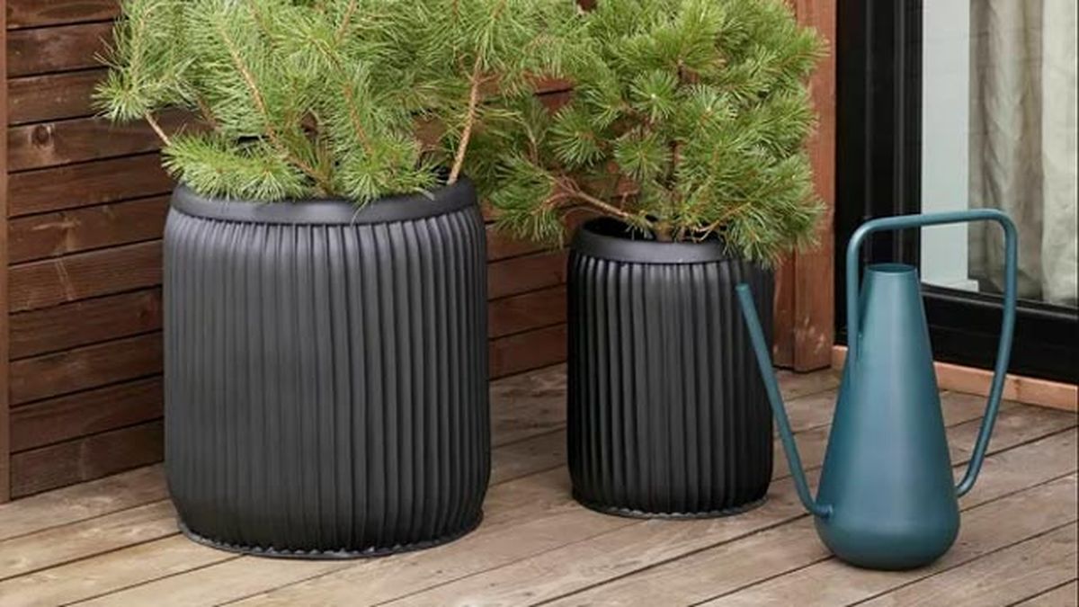 amazon regadera hubsch