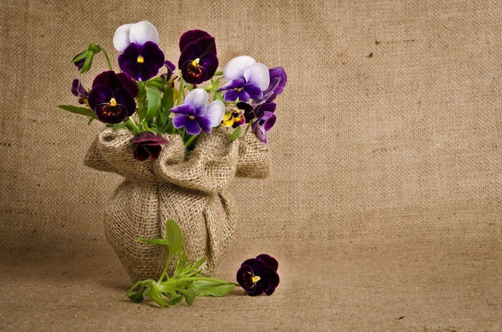 Estilo natural para decorar la casa   plantas