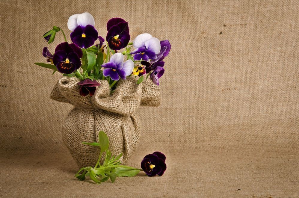 Estilo natural para decorar la casa   plantas