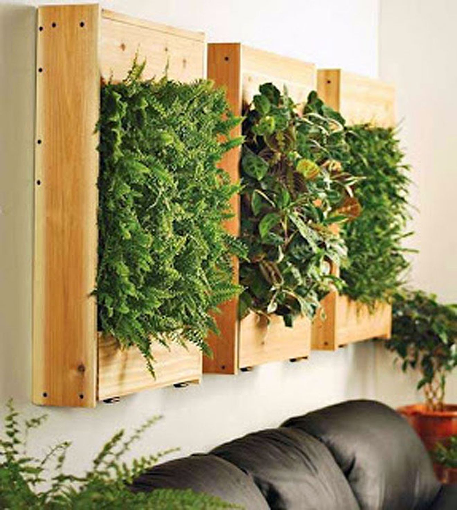 decoracion vegetal jardin interior 6