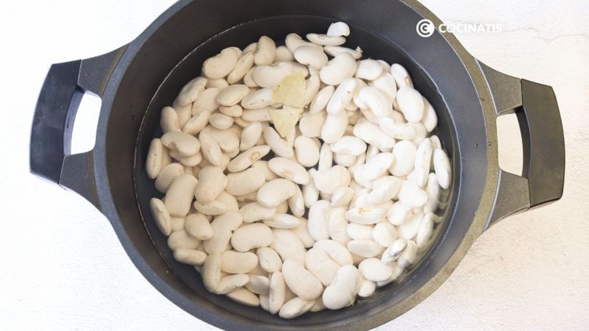 Foto: Sofía de la Torre