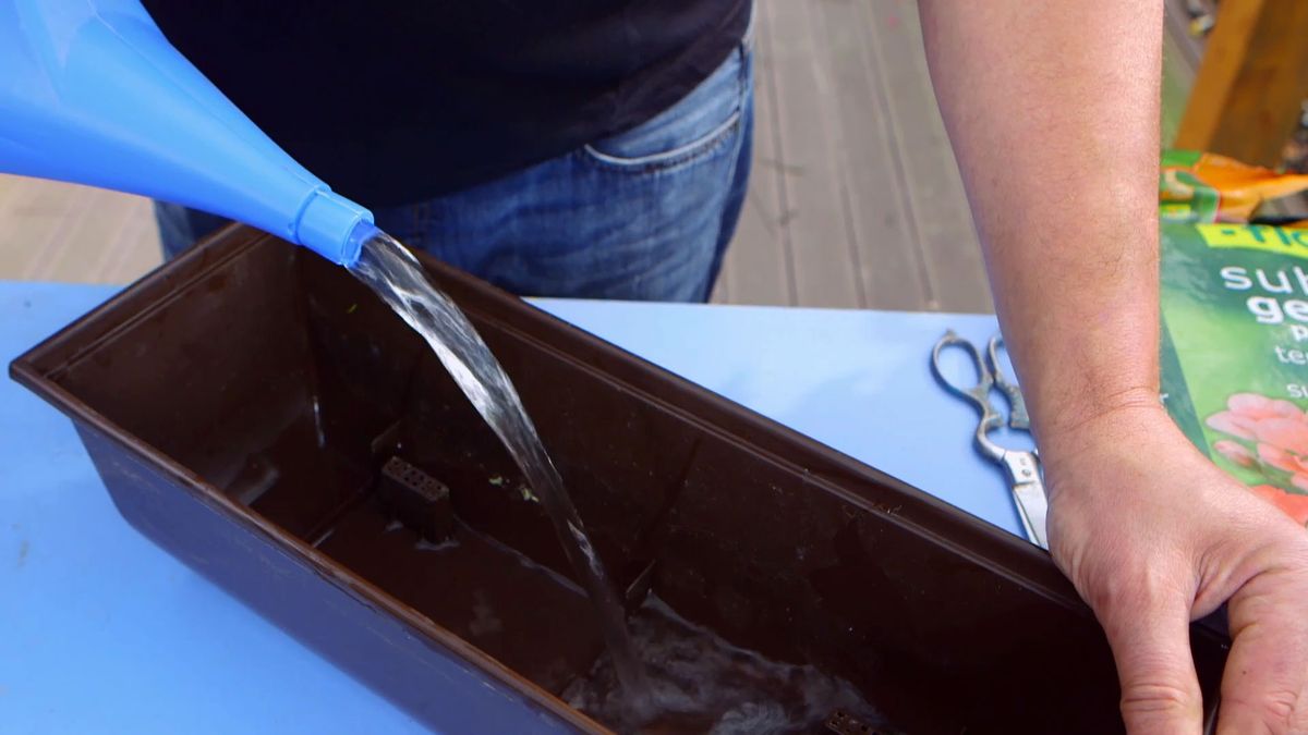 brico 0907 3 geranios para balcon paso 1