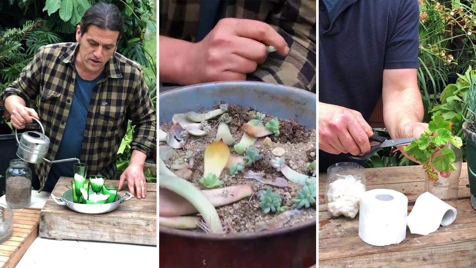 planes de jardineria para hacer durante la cuarentena xl
