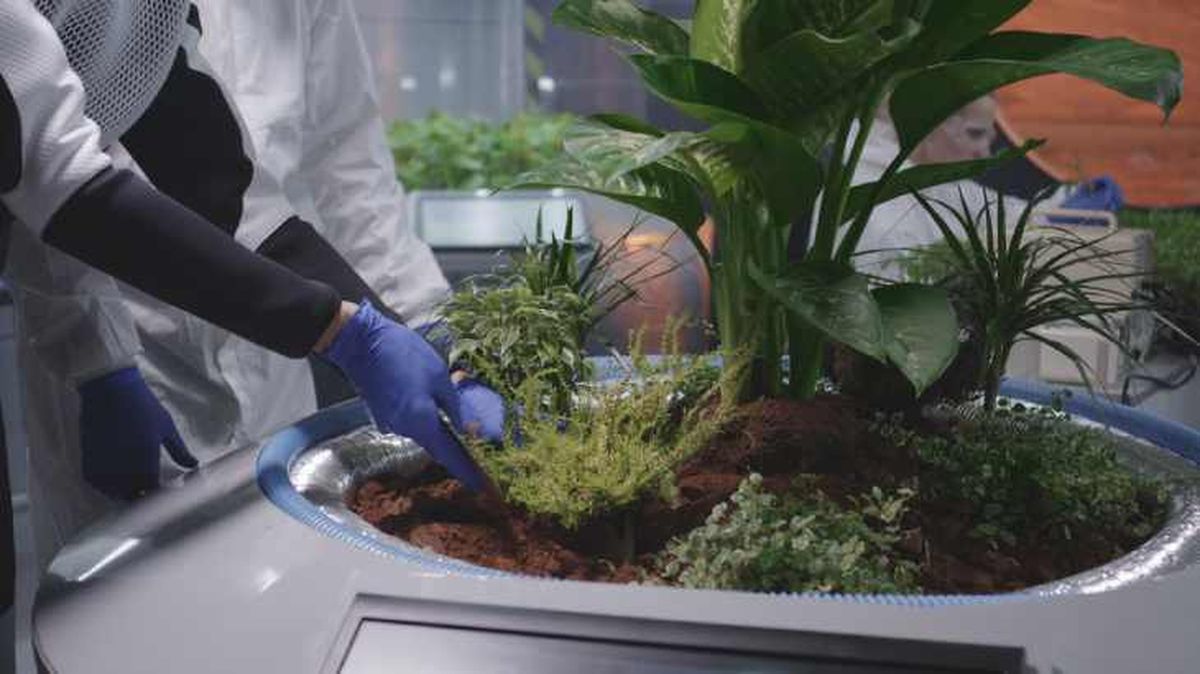 Científicos con plantas