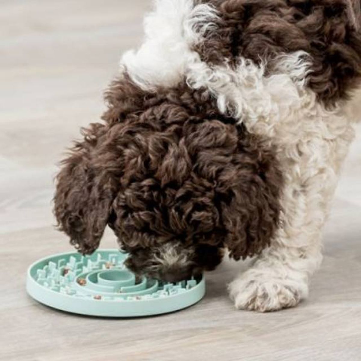 comedero lento perros antivoracidad Trixie Junior Tiendanimal