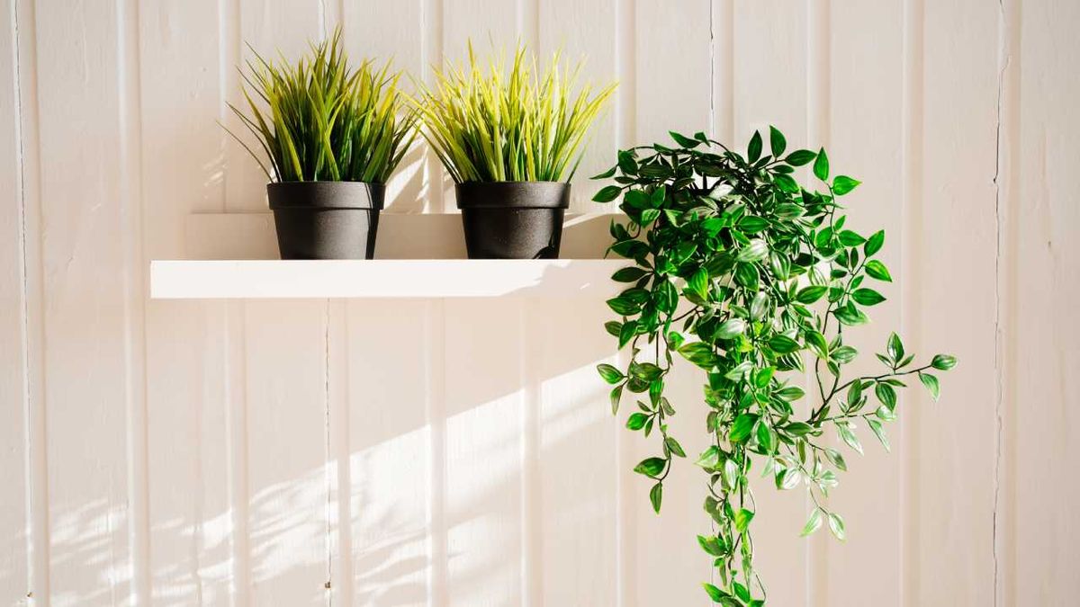 Plantas artificiales.