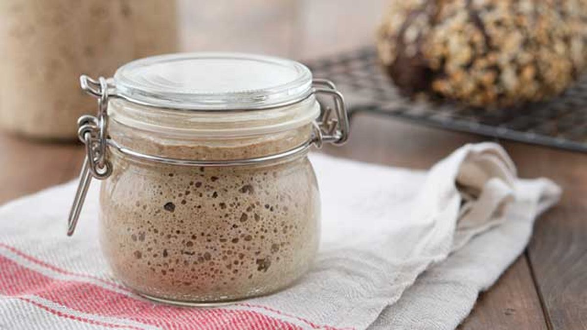 masa madre para hacer pan