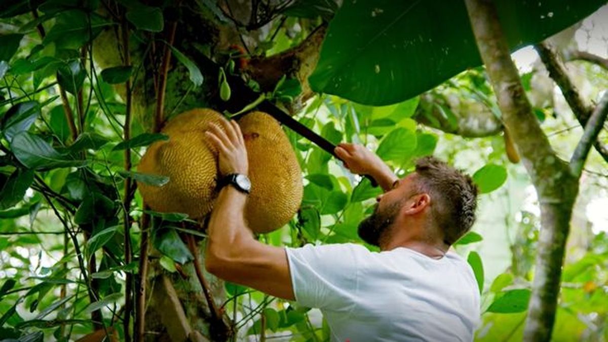 zac efron con los pies en la tierra netflix