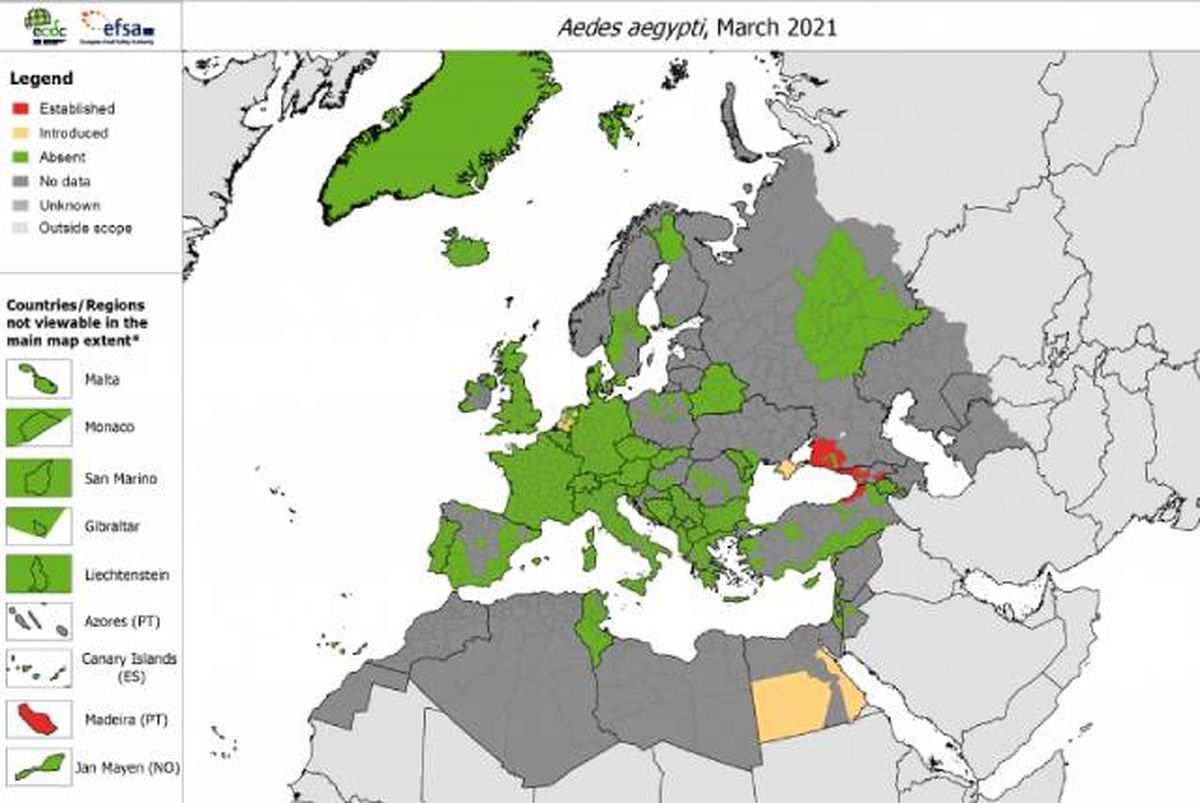 donde vive mosquito fiebre amarilla Aedes  Aegypti
