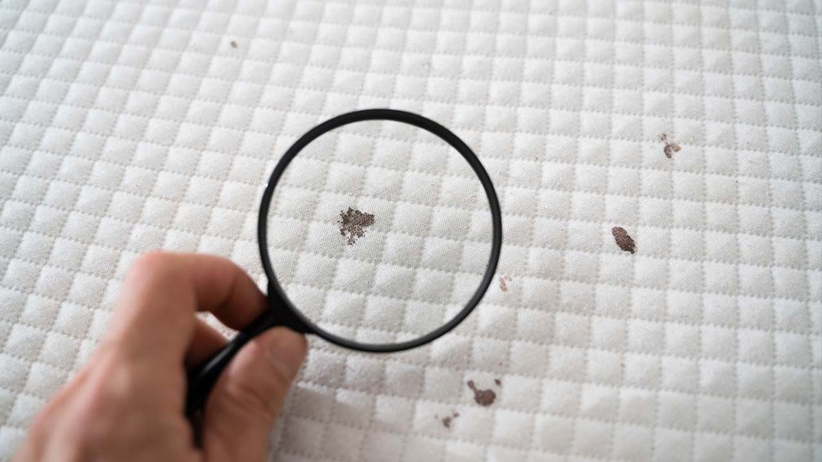 como limpiar el colchon con trucos caseros y economicos