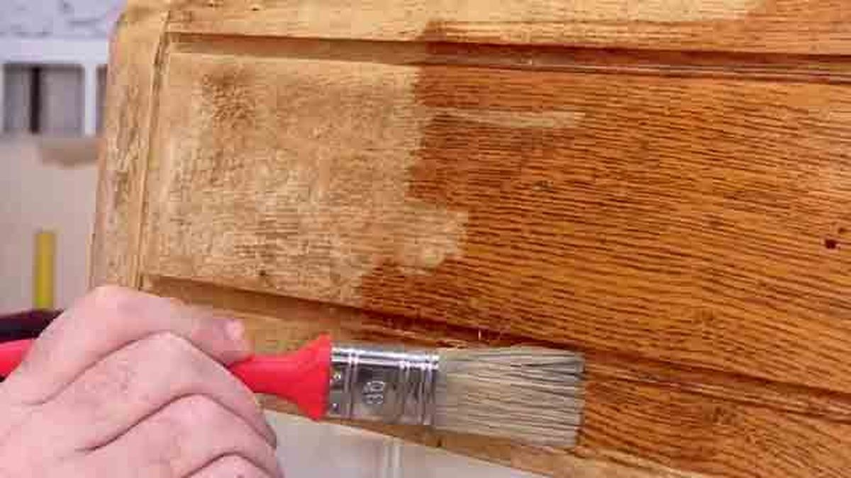 Bricomania 341 Tratamiento carcoma p4