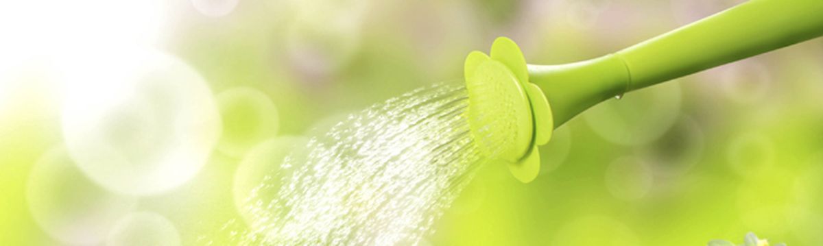 listado de jardinería sobre los sistemas de riego