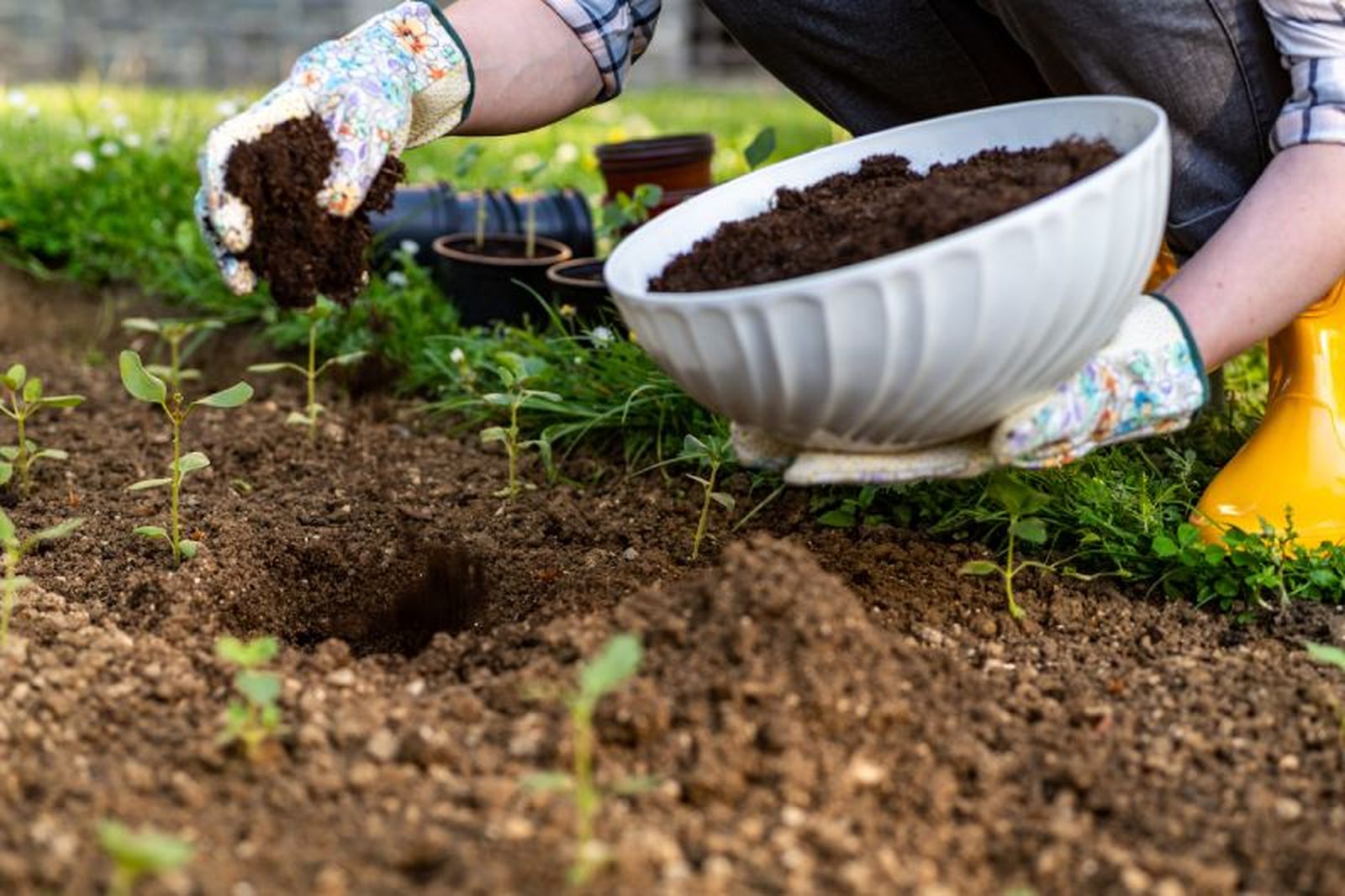 El compost tiene muchos usos