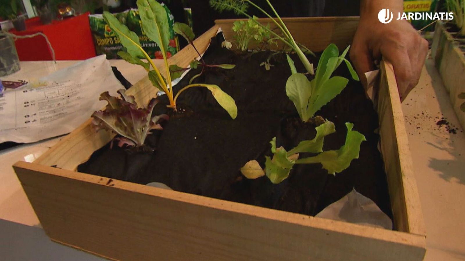 Huerto urbano en bolsas de sustrato