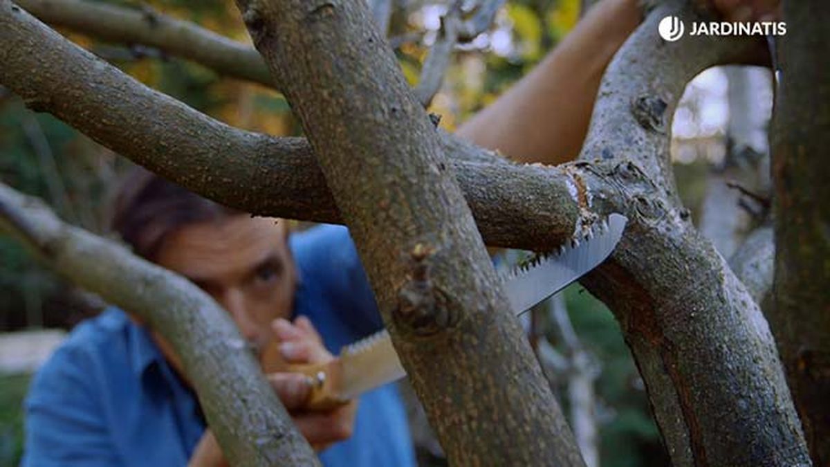 brico 0896 jardin proteger tras poda paso 6