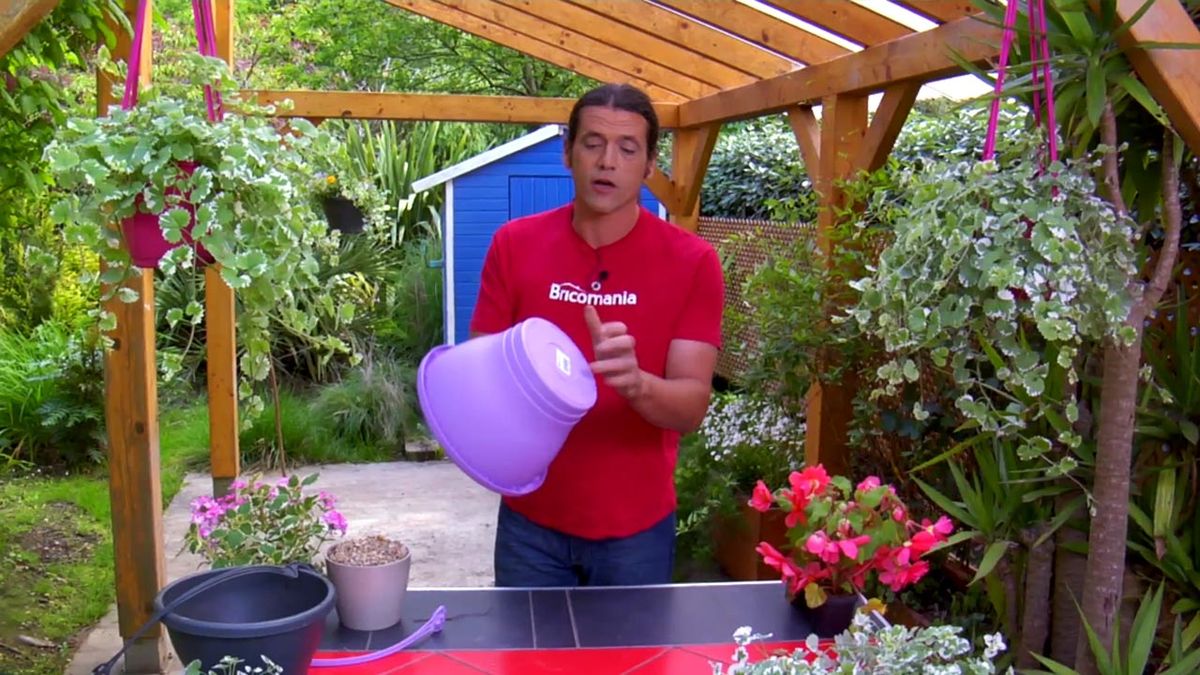 brico 794 jardin plantas colgantes verano Glechoma hederacea variegata cesto plastico