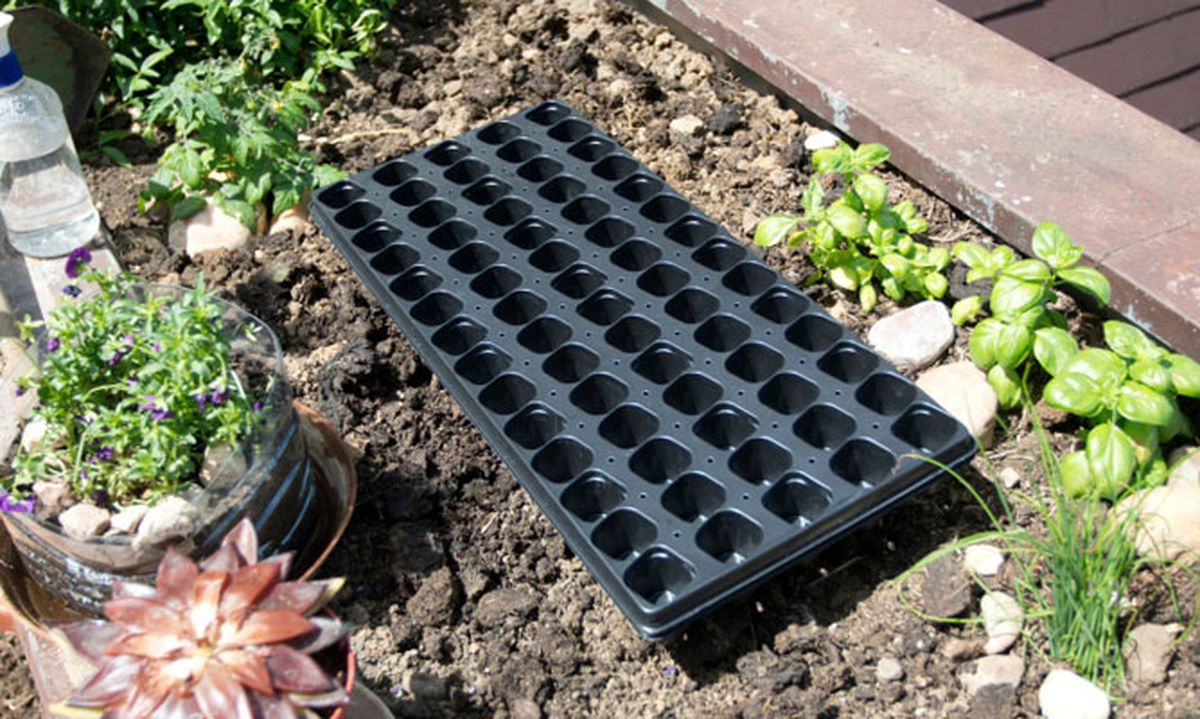 BRICO_JARDIN_526_Tipos de s