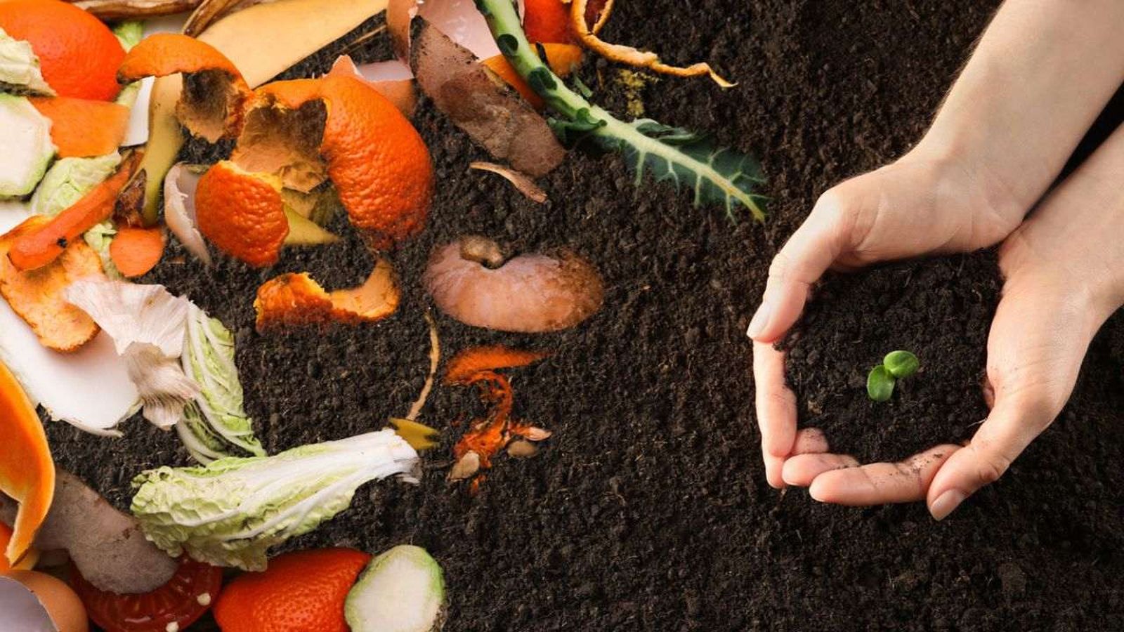 Los fertilizantes orgánicos mejoran la salud del suelo y potencian el crecimiento de tus plantas.