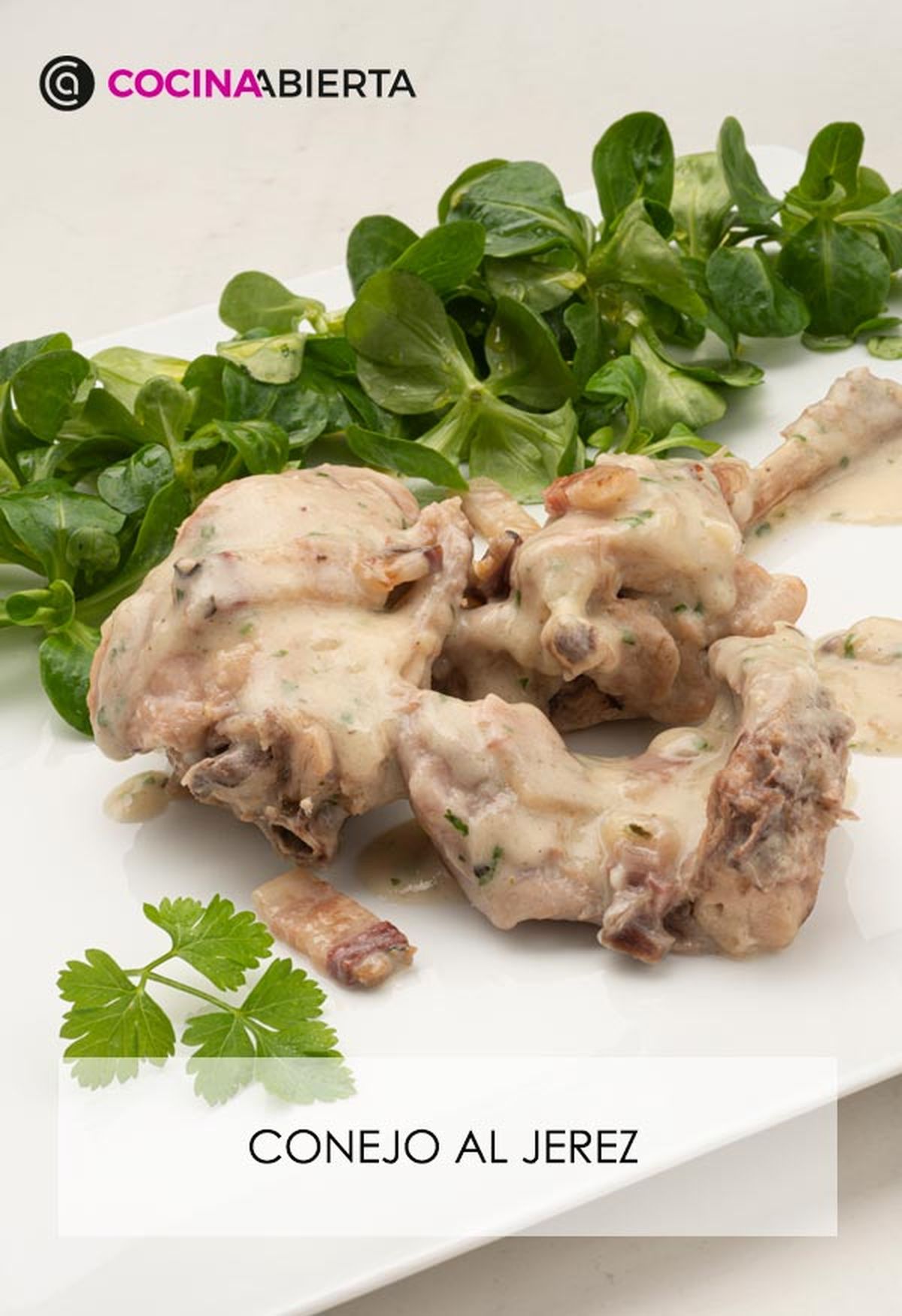 karl6690 conejo jerez v