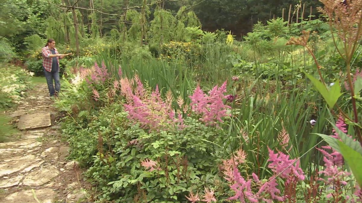 deco 0703 astilbes inicio