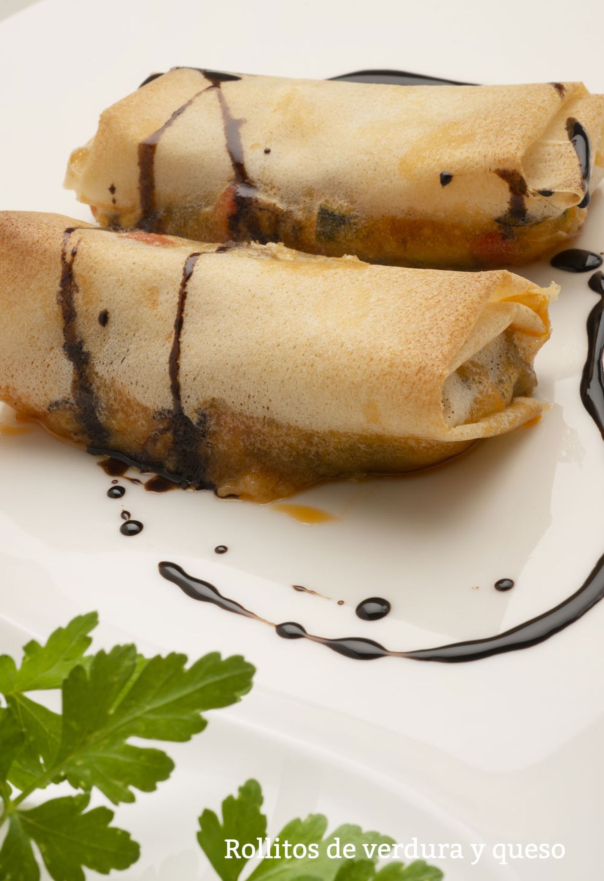 rollitos verdura vertical