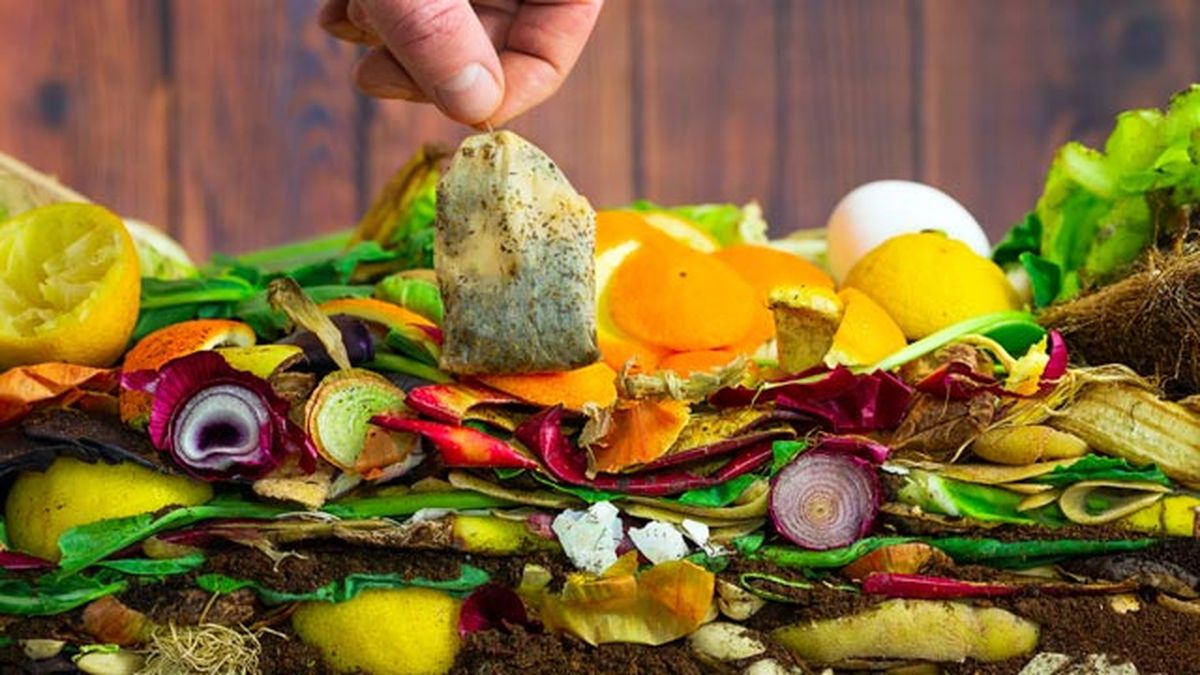 ideas para reutilizar bolsitas de te compost