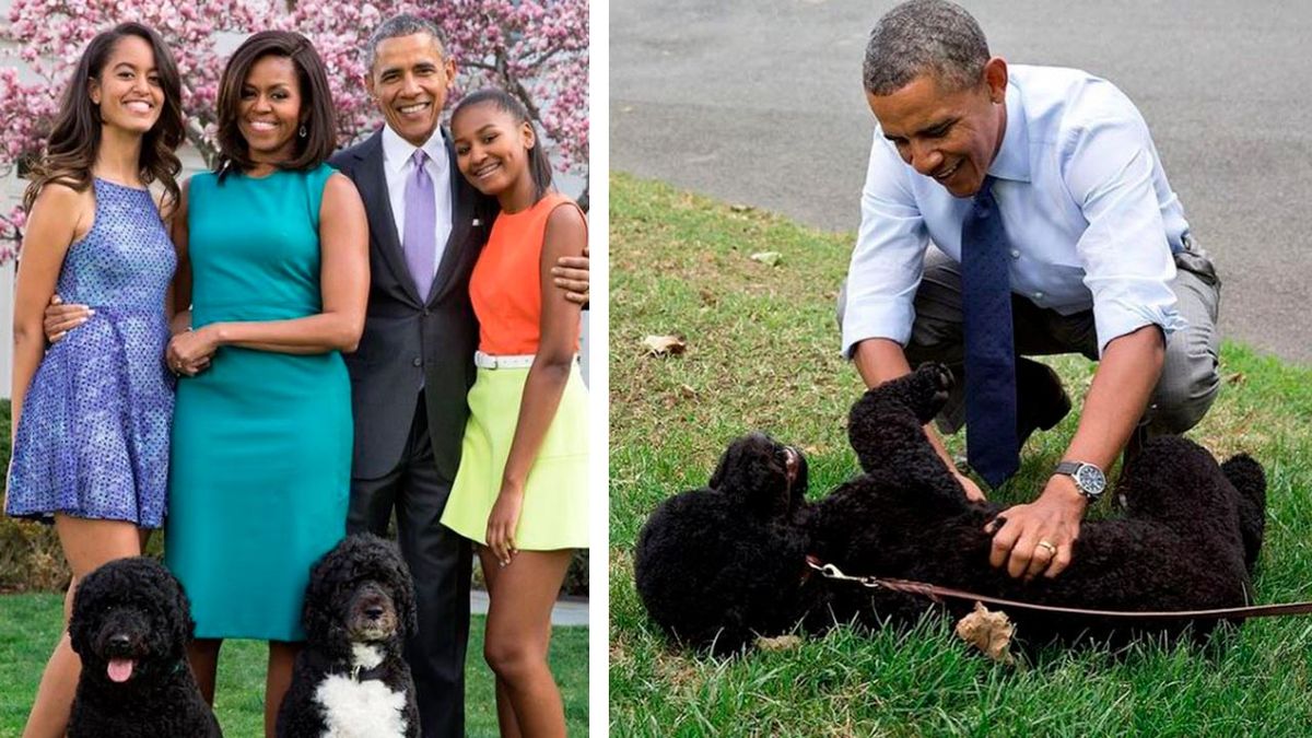 perros presidente biden 7