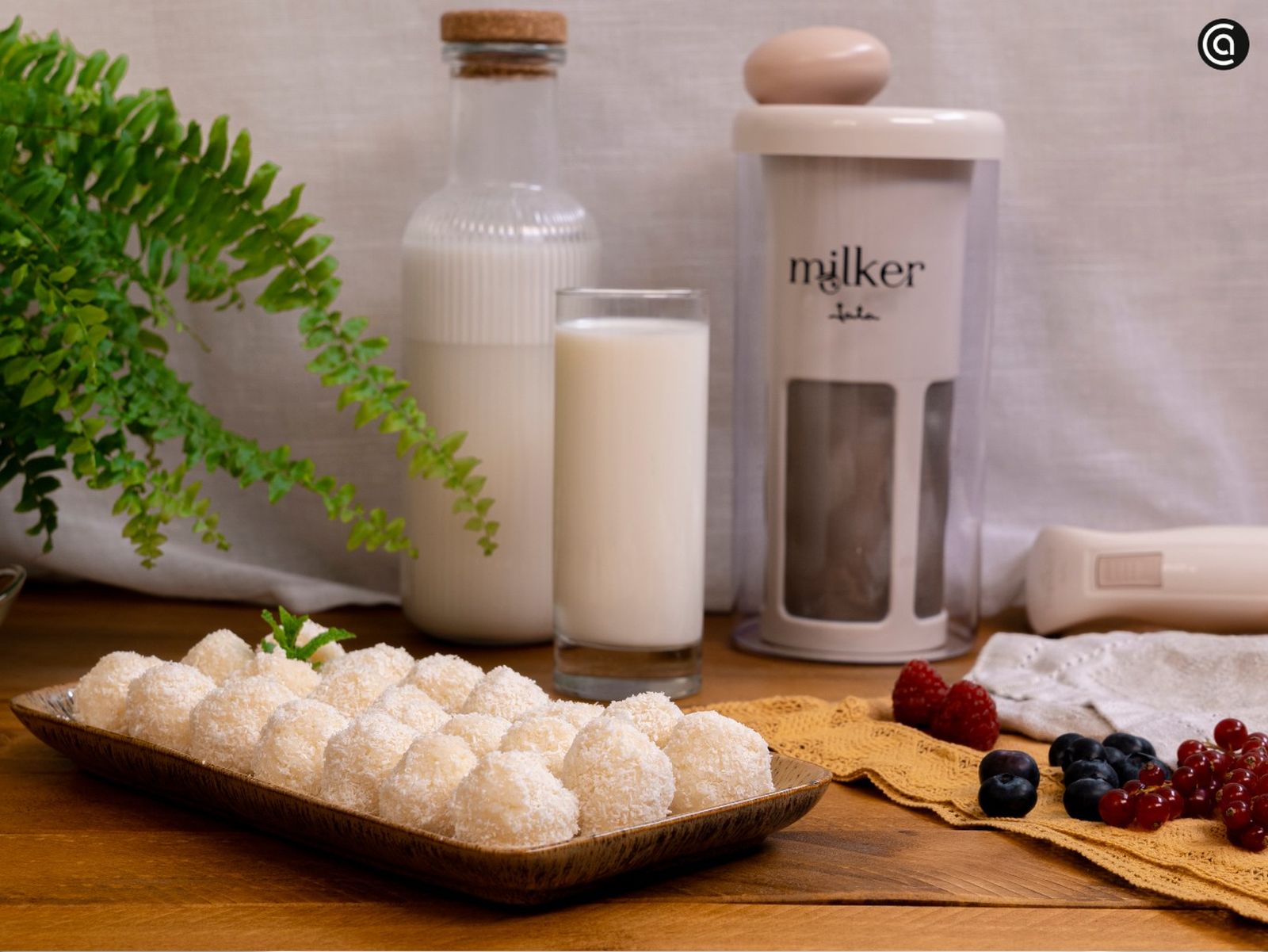 Aprende a preparar una refrescante leche de coco y aprovecha su pulpa para hacer unas trufas