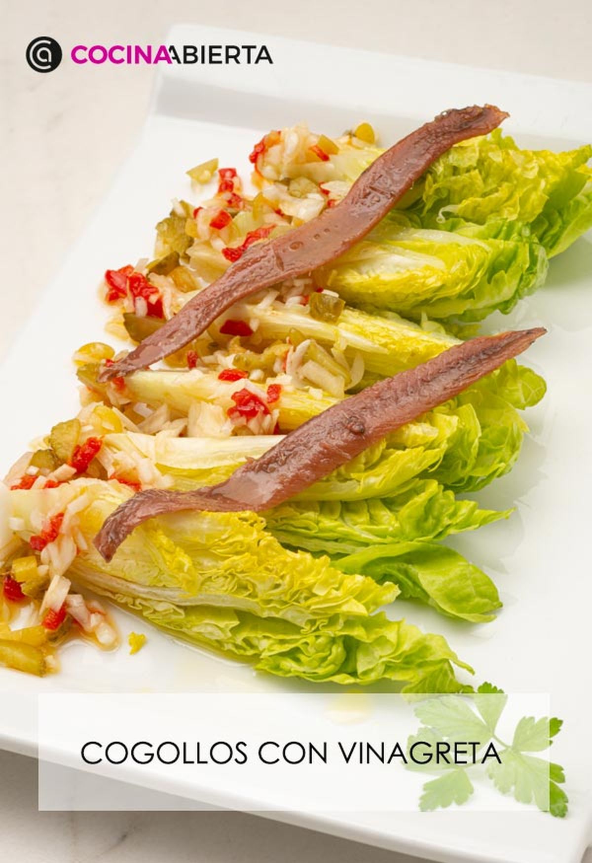 karl6686 cogollos vinagreta v