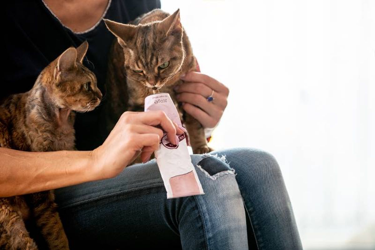 La malta para gatos actúa como un lubricante natural, facilitando la eliminación de las bolas de pelo.