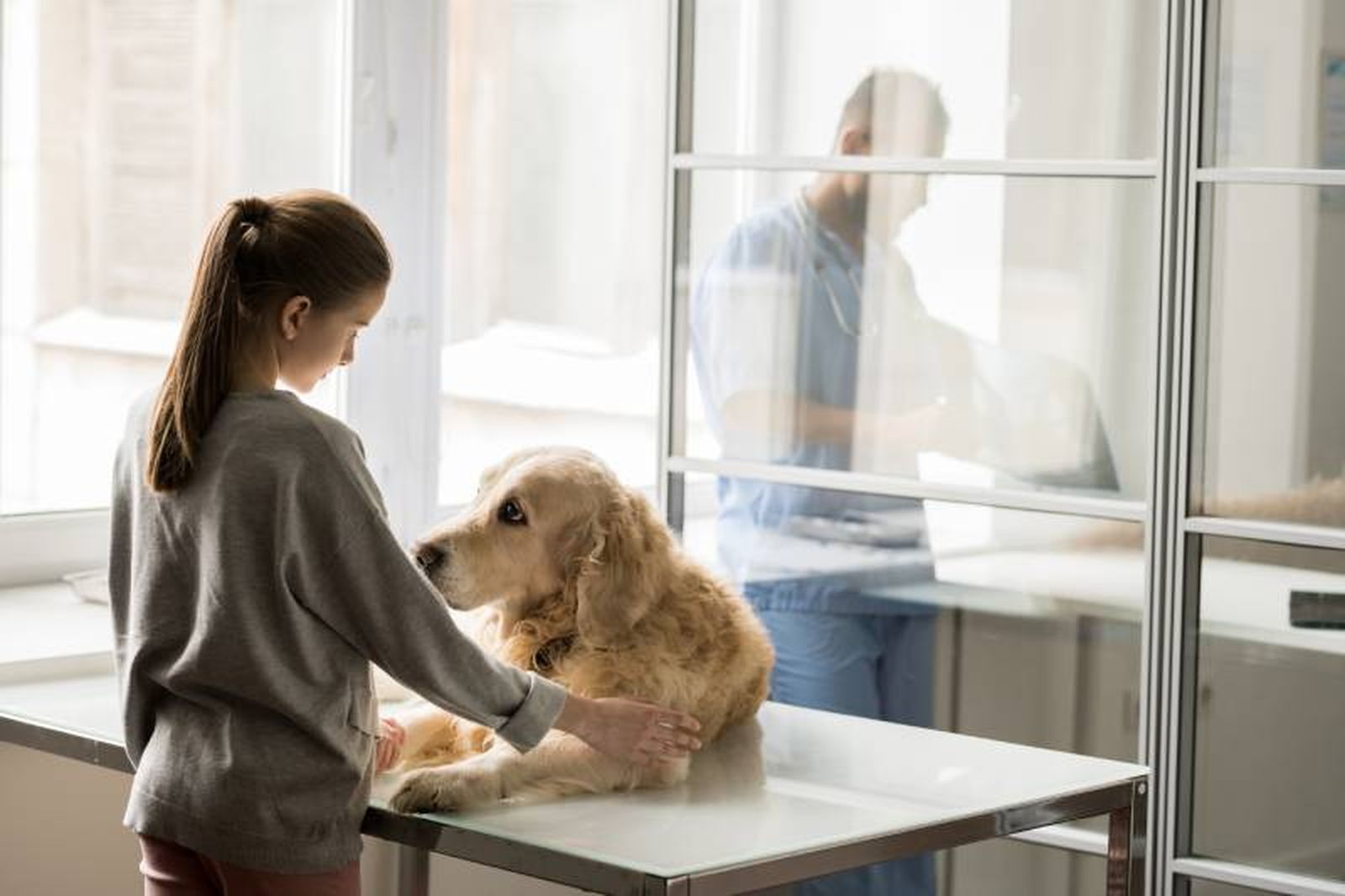 Los profesionales del sector se han unido bajo la plataforma Veterinarios Unidos.