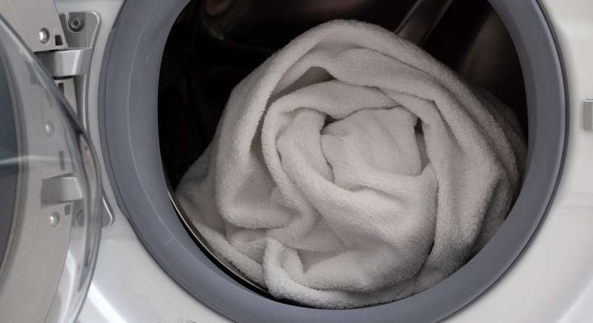 Tras lavar la cama del perro, limpia a fondo la lavadora